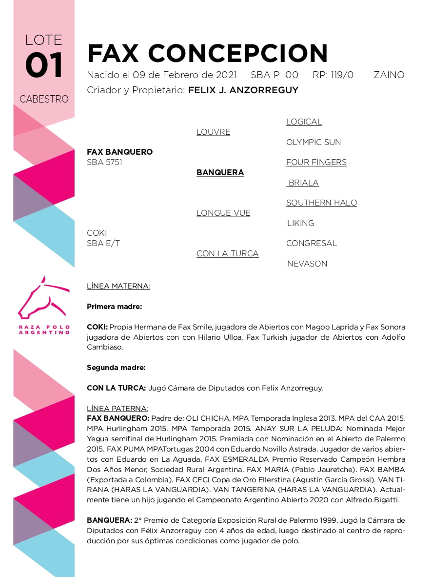 Lote FAX CONCEPCION (FAX BANQUERO - COKI)