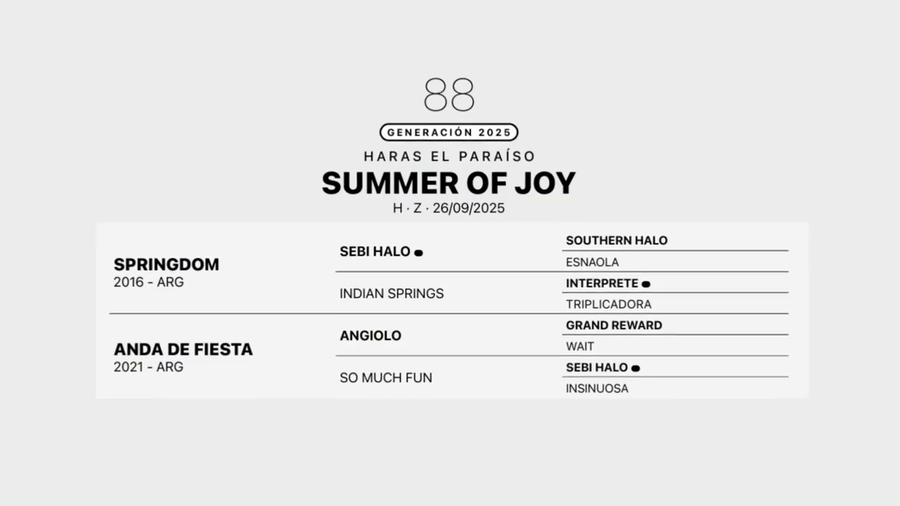 Lote SUMMER OF JOY