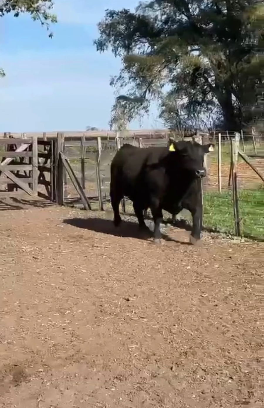 Lote Cabaña Don Tuco