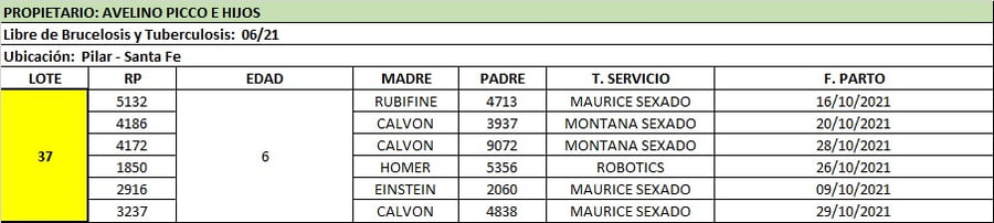 Lote Lote 37 Avelino Picco