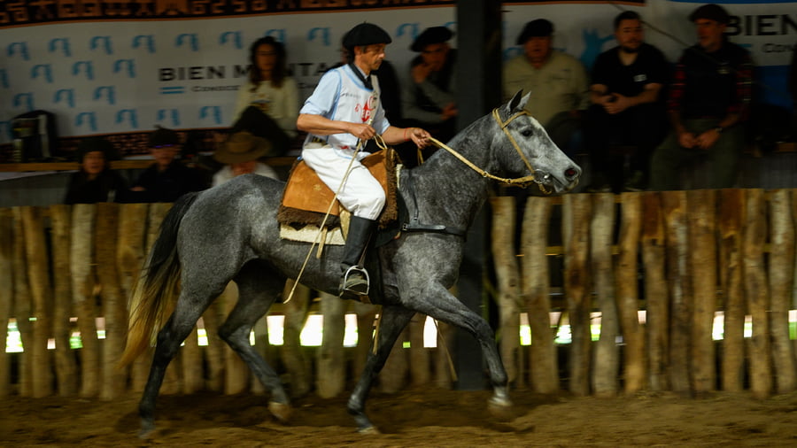 Lote ATALAYA CONFITURA