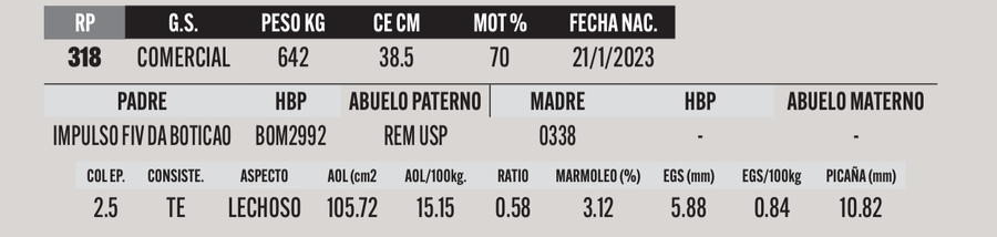 Lote LOTE 44