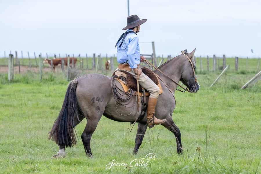 Lote Dichosa De Los Recuerdos