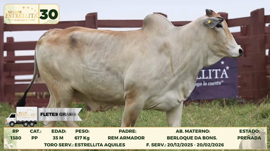 Lote LOTE 30