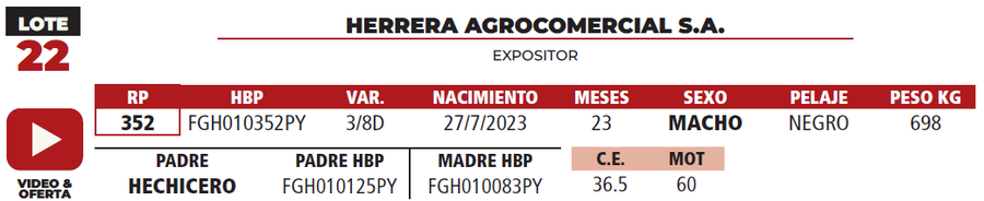 Lote LOTE 22