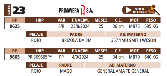 Lote LOTE 23