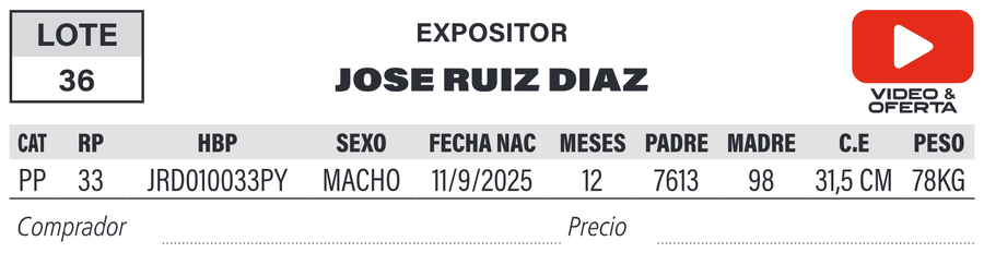 Lote LOTE 36