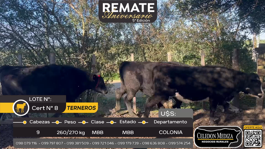 Lote 8 Terneros en Tarariras, Colonia