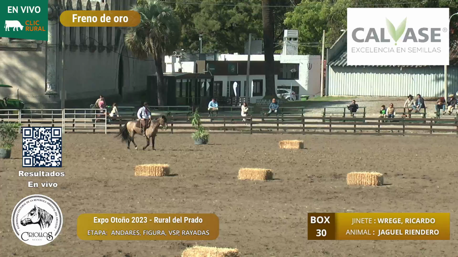 Lote JAGUEL RIENDERO - GREEN BELT S.A