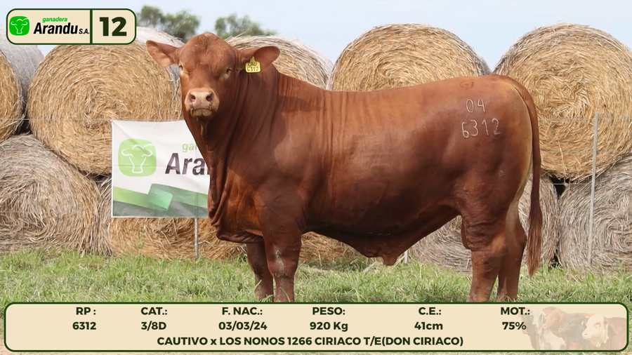 Lote LOTE 12