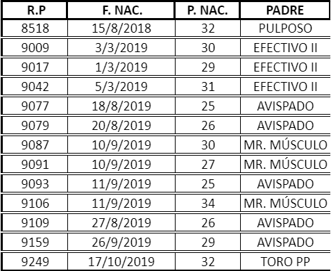 Lote VAQ. A. ANGUS NEGRAS P. CONTROLADAS C/GTÍA DE PREÑEZ