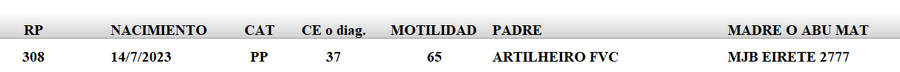 Lote LOTE 45