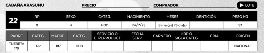Lote LOTE 22