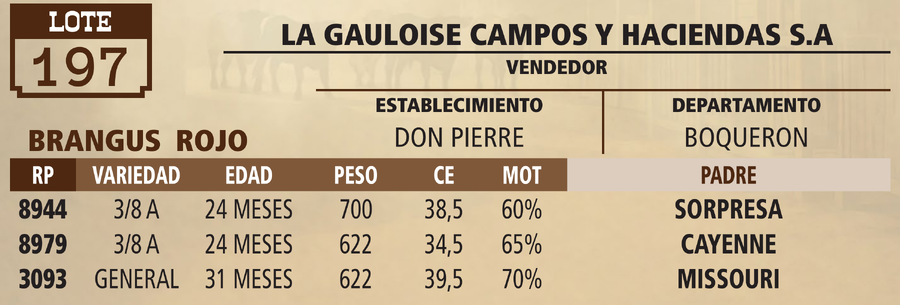 Lote LOTE 197 - VIVO