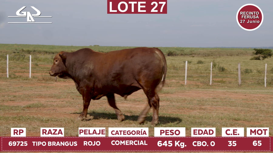 Lote Reproductores de Alborada - Lote 27