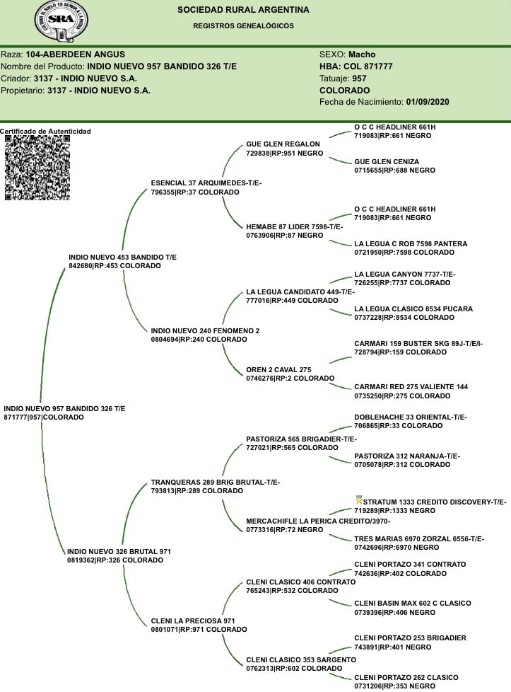Lote "Toros ""SANTA ROSA"""