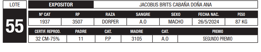 Lote LOTE 55