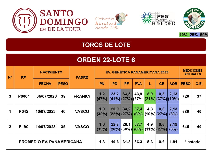 Lote Toros de Lote
