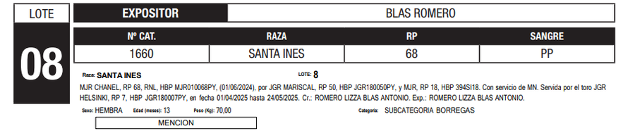 Lote LOTE 8