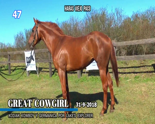 Lote GREAT COWGIRL