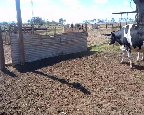 Lote Lote 42 Monzoni Servicios Agropecuarios