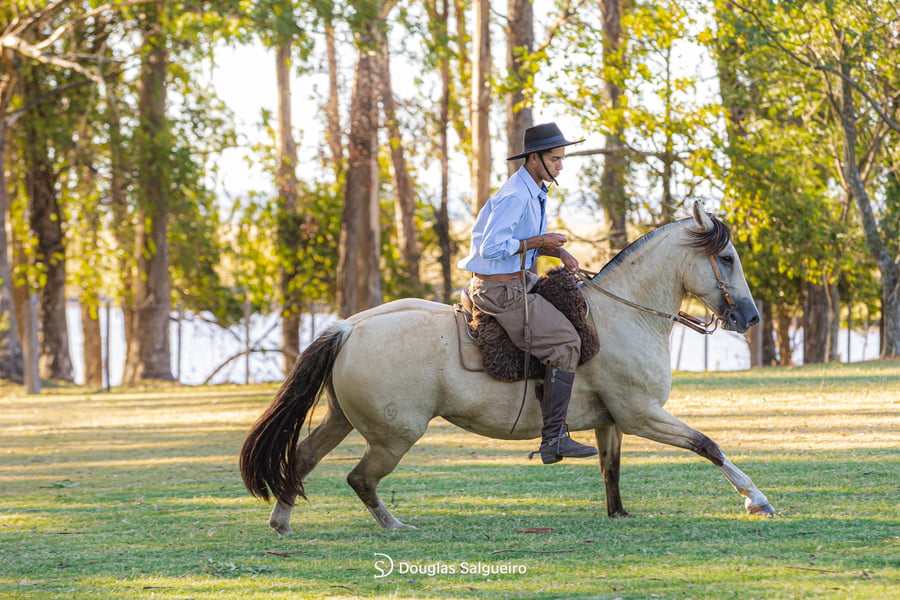 Lote ILUMINADA DE LA COLINA