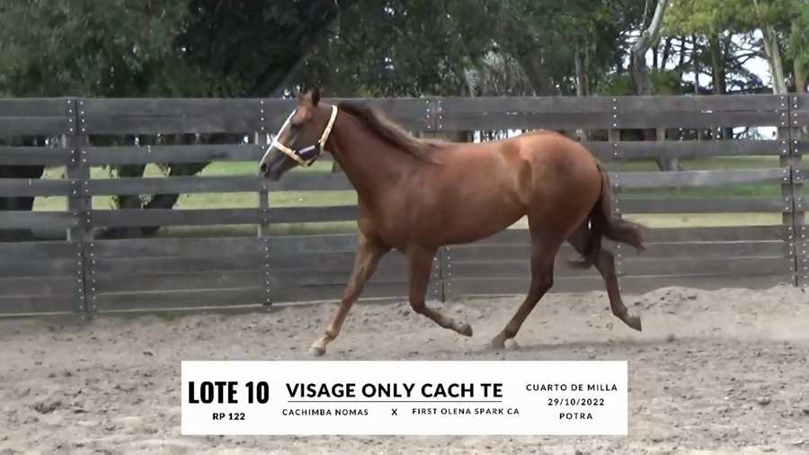 Lote VISAGE ONLY CACH TE