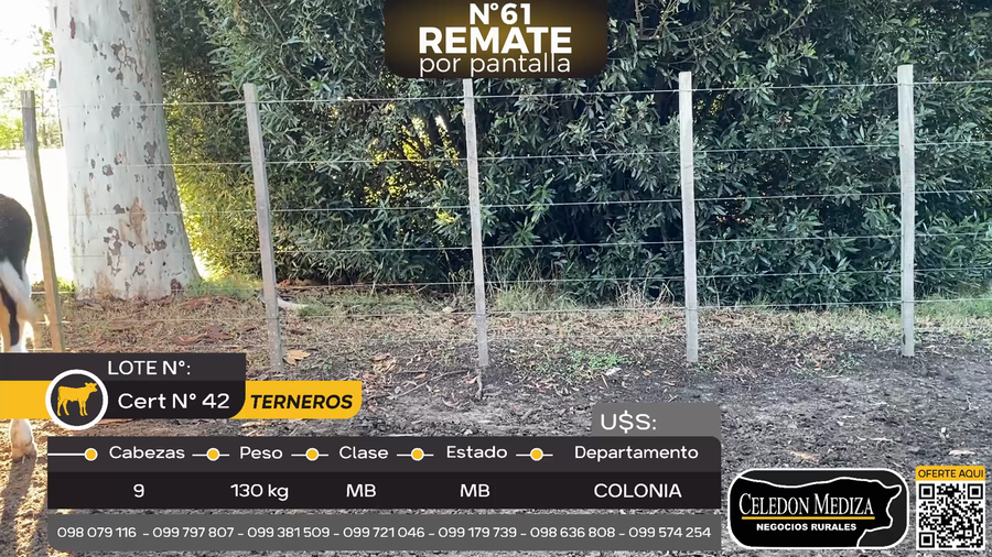 Lote 9 Terneros , a 3 km de Tarariras, Colonia
