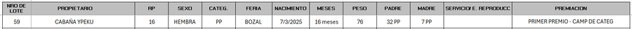Lote LOTE 59 - BOZAL