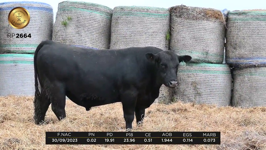 Lote LA SANTINA ENGAGE 2045-2664