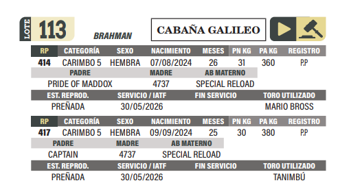 Lote LOTE 113