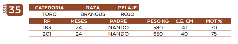 Lote LOTE 35