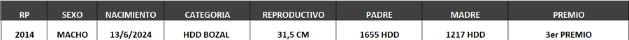 Lote LOTE 41- BOZAL