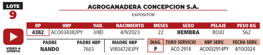 Lote LOTE 9