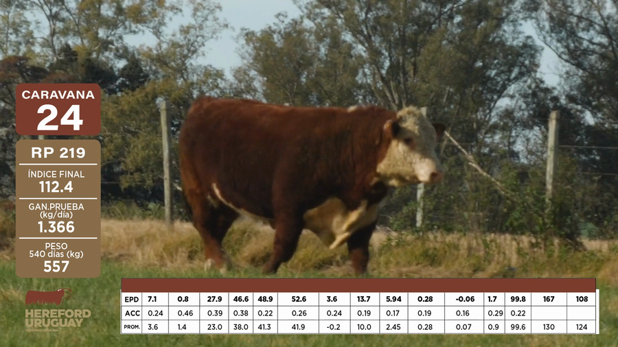 Lote Caravana 24 "PUEBLA DEL RÍO S.A."