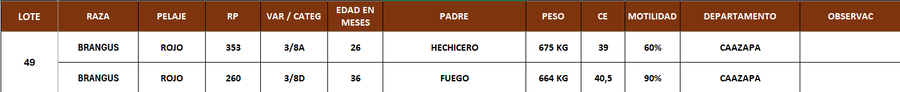Lote LOTE 49