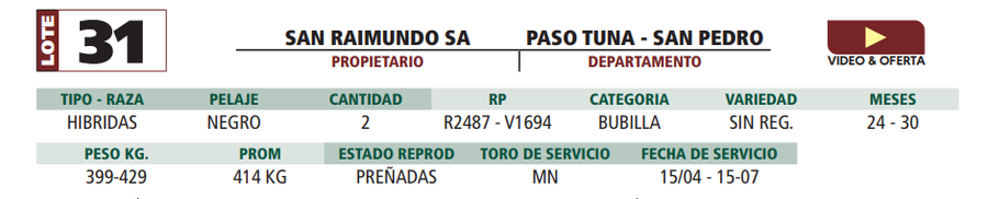 Lote LOTE 31