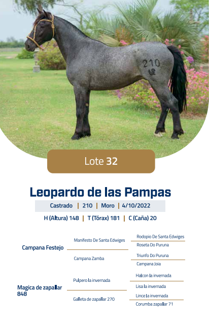 Lote LOTE 32