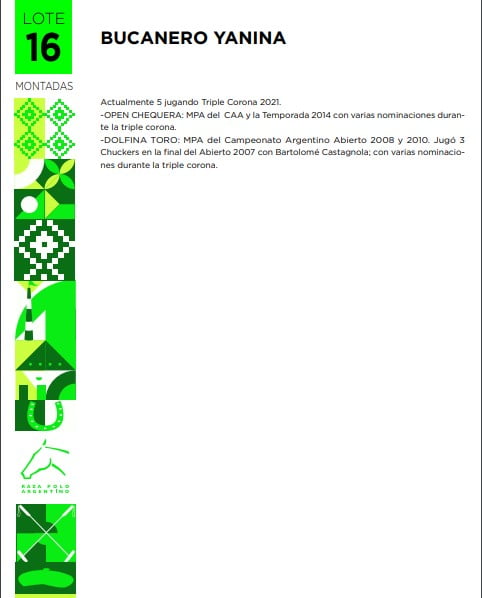 Lote BUCANERO YANINA(DOLFINA MARADONA-ESCORPIANA)