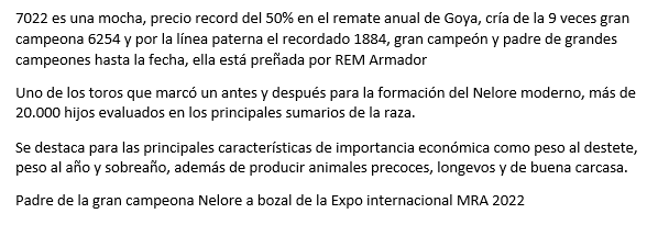 Lote PREÑEZ Nelore a Bozal Expo Internacional 2022 - Lote 3