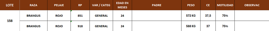 Lote LOTE 158