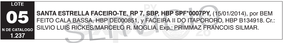 Lote LOTE 5