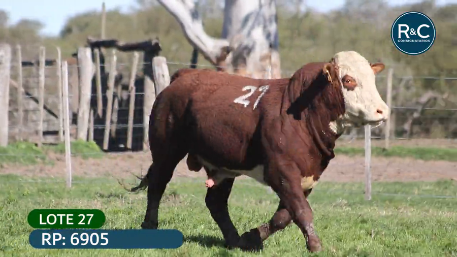 Lote Toros señal 22