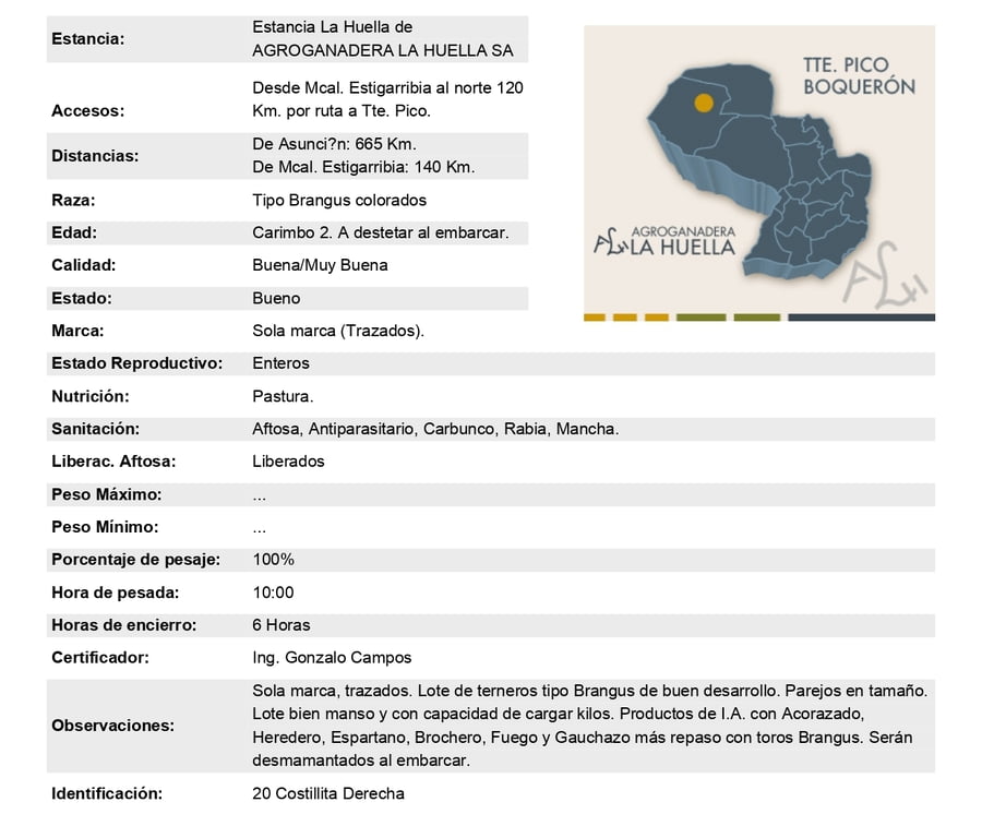 Lote Lote 1