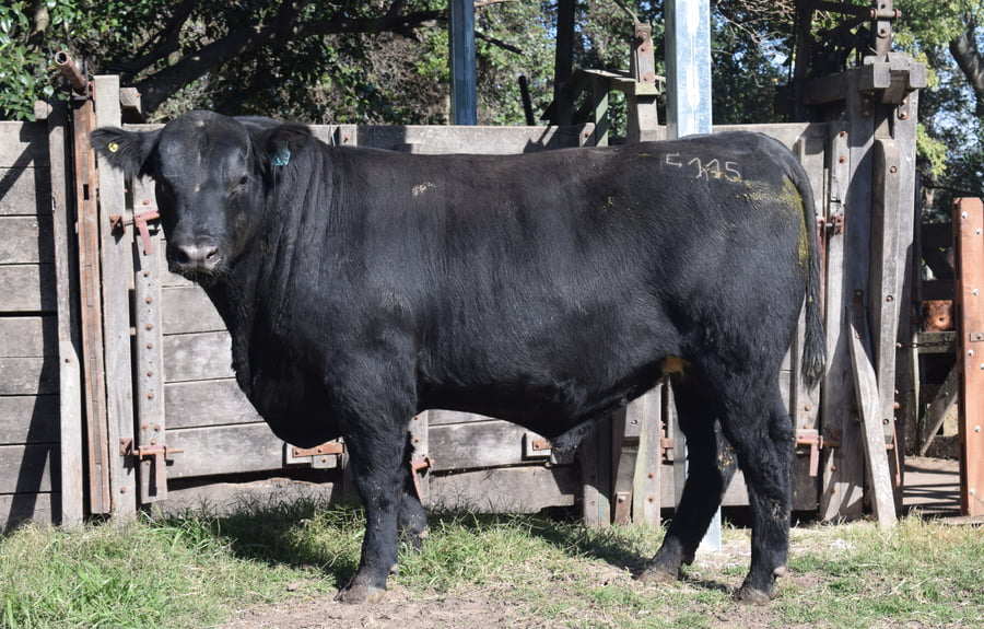 Lote CABAÑA “COEMBOTÁ” de Calderón RP 115