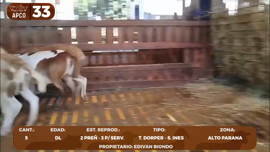 Lote LOTE 33 -POR PANTALLA