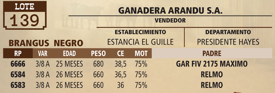 Lote LOTE 139 - VIVO