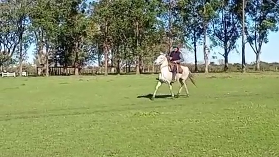 Lote 1 Yeguas Montadas en Corrientes, Curuzú-Cuatiá