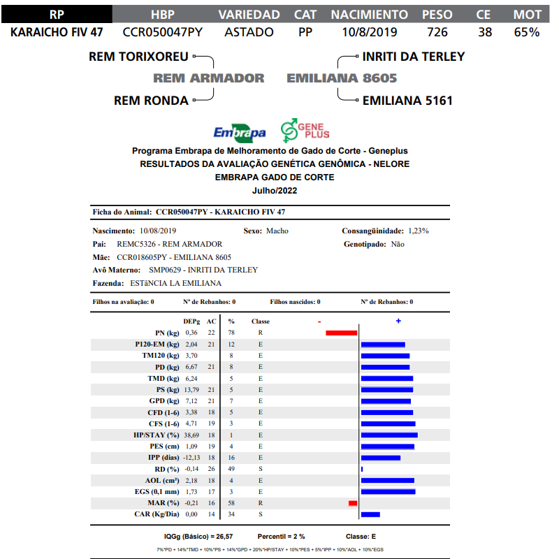 Lote LOTE 24 -RP FIV 47
