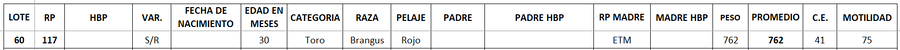 Lote LOTE 60
